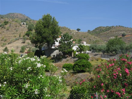 Das Landhaus Terrzas los Pinos bei La Herradura liegt ruhig und l�ndlich 